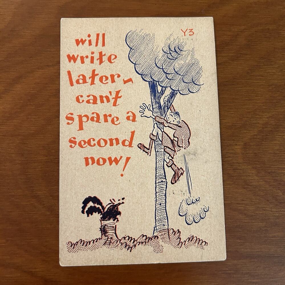 Vintage Humorous 1940s Post Card Smelly Skunk Will Write Later Ephemera
